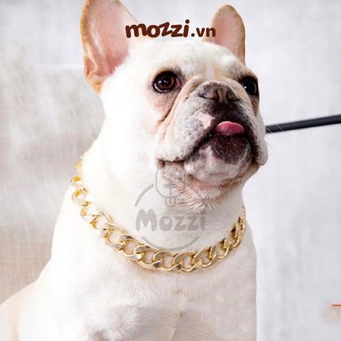  Dây chuyền vàng bạc làm theo yêu cầu cho chó mèo (inbox cân nặng) 