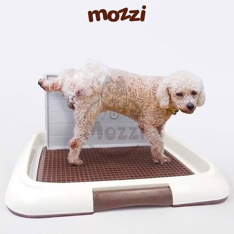  Khay vệ sinh cho chó Hipi có sẵn trụ, tường lẻ 