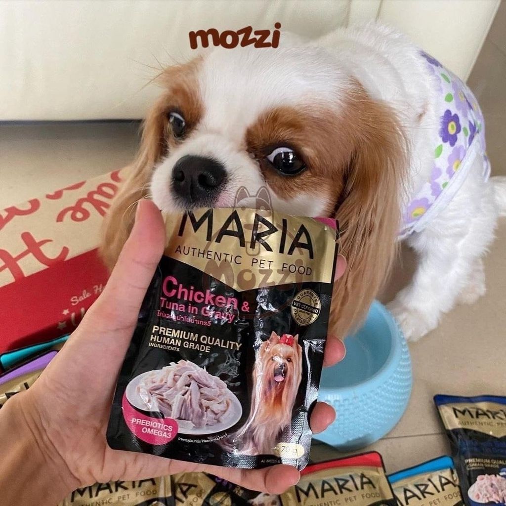 Pate cho chó Maria gói 70gr