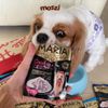 Pate cho chó Maria gói 70gr