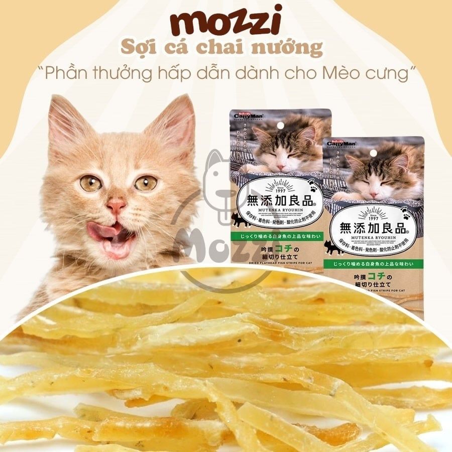 Snack cho mèo Chip Sợi gà cá CattyMan sấy mềm dẻo