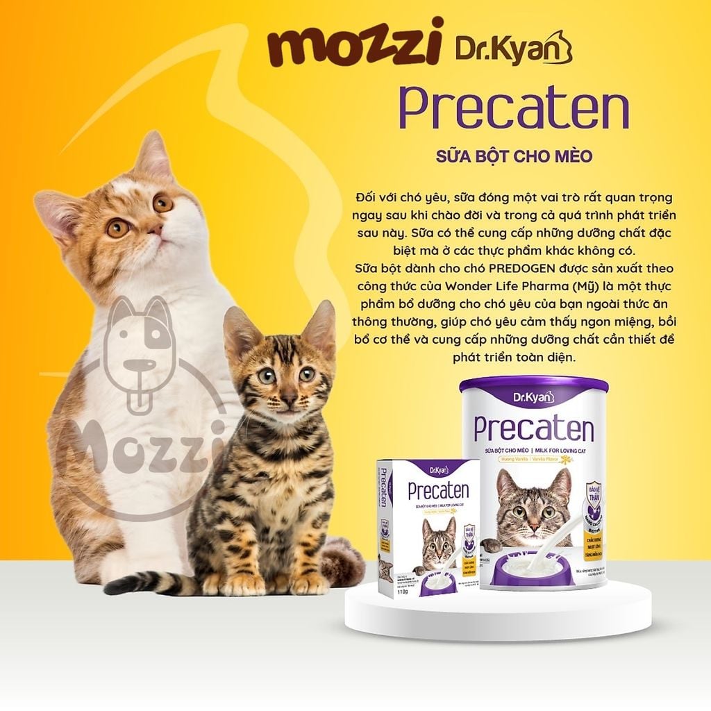 Sữa bột cho mèo Precaten Dr.Kyan [100g - 400g]