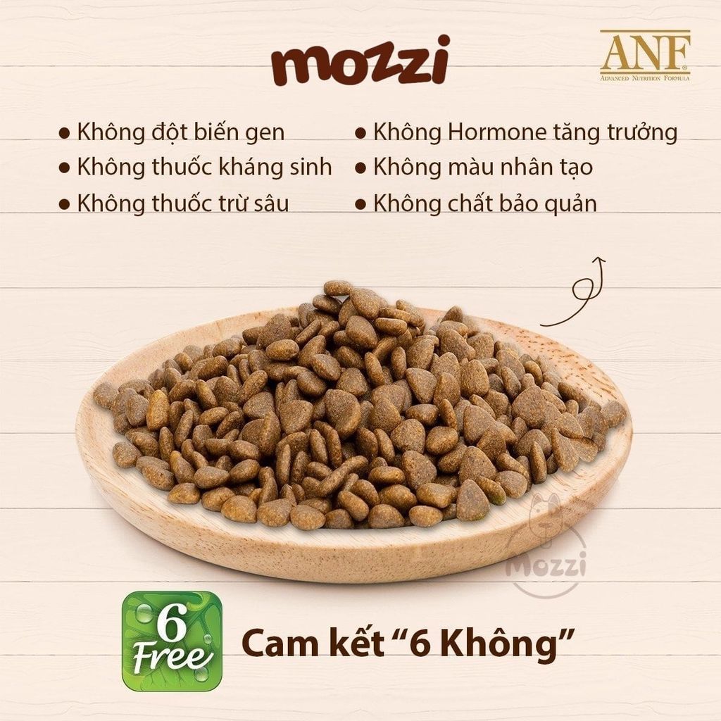 Thức ăn hạt hữu cơ ANF Cat 6Free+ cho mèo [400g - 1.6kg - 5.6kg]