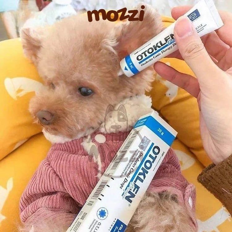 Nhỏ viêm rận tai Otoklen Alkin Tuýp 20g cho chó mèo