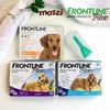 Nhỏ gáy trị ve rận bọ chét Frontline Plus cho chó