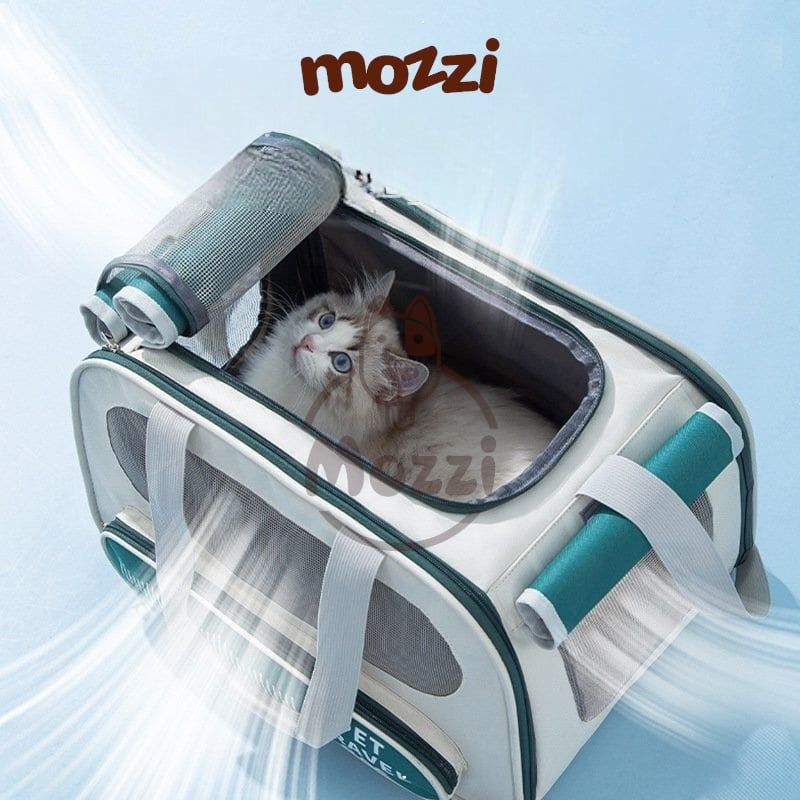 Balo Túi đựng chó mèo Pet Travel