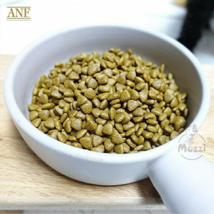 Thức ăn hạt hữu cơ ANF Cat 6Free+ cho mèo [400g - 1.6kg - 5.6kg]
