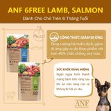  Thức ăn hạt hữu cơ ANF Dog 6Free cho chó [200g - 2kg - 6kg] 