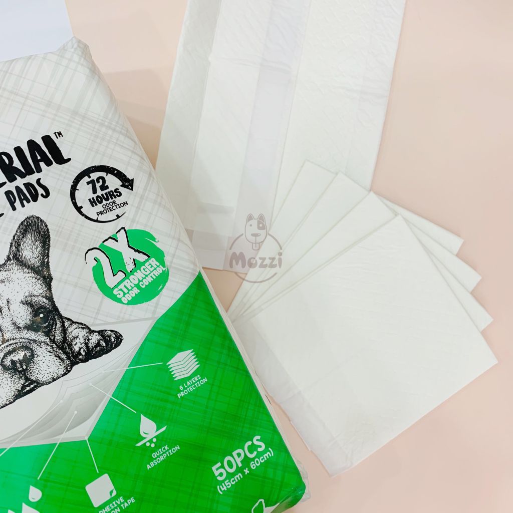 Tã lót chuồng chó mèo Absorb Plus trắng siêu thấm hút 72h của Mỹ