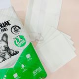  Tã lót chuồng chó mèo Absorb Plus trắng siêu thấm hút 72h của Mỹ 