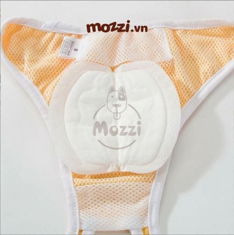  Tã lót quần vải Hipi cho chó Cái 