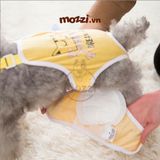  Tã lót quần vải Hipi cho chó Cái 