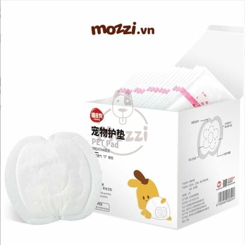  Tã lót quần vải Hipi cho chó Cái 