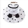 Áo mưa Panda cho chó mèo