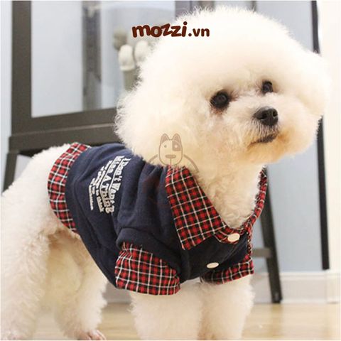  Áo thun cổ sơ mi viền ống tay 