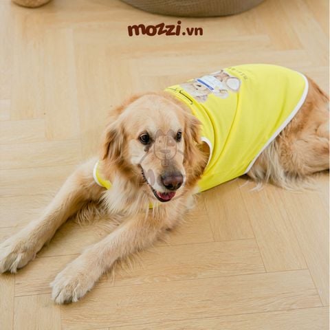  Áo ba lỗ chó lớn Mistake 