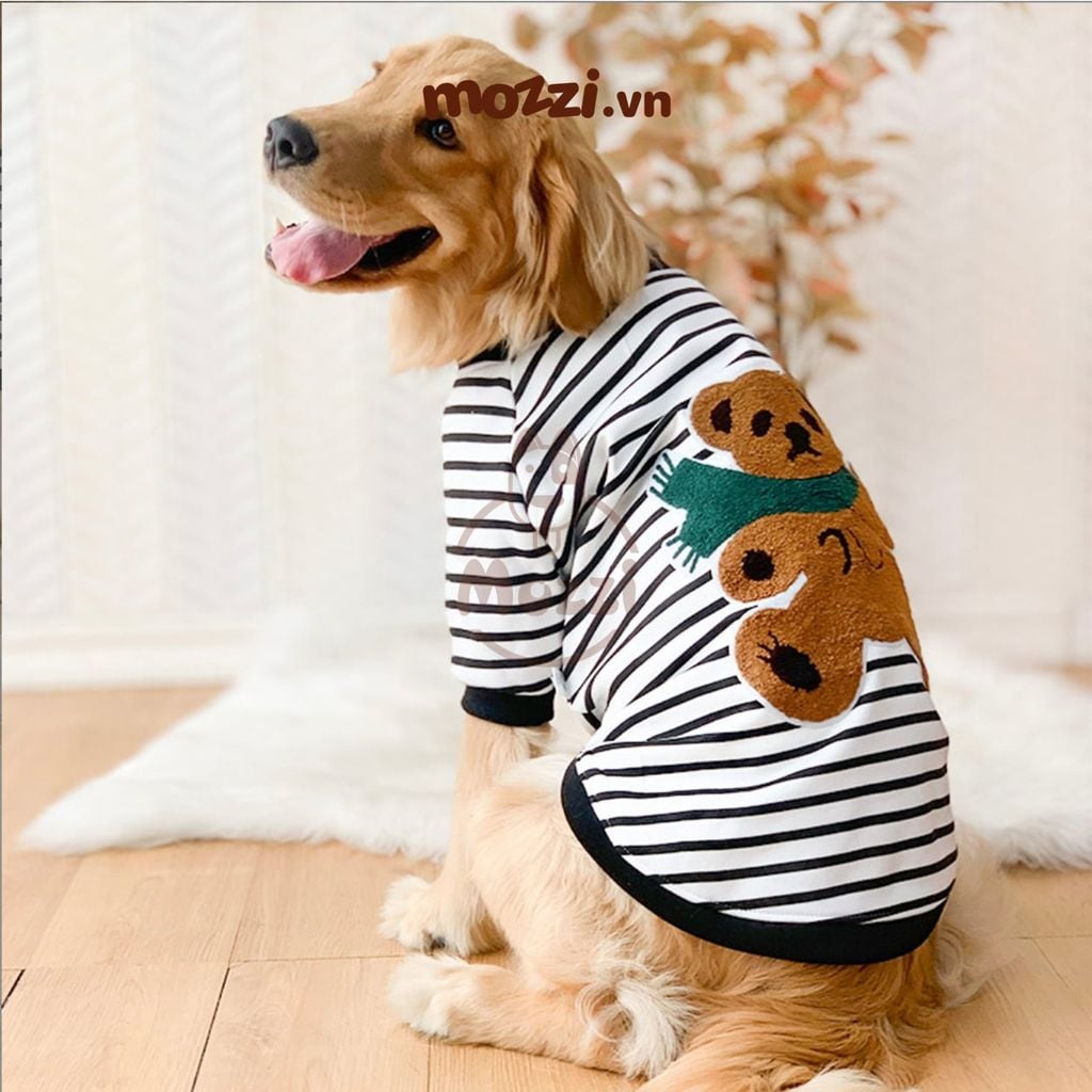 Áo chó lớn lưng gấu InnoPet