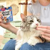  Snack cho mèo Viên mềm Juicy Bites Inaba 