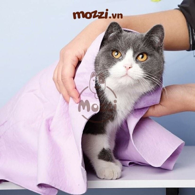 Khăn tắm siêu thấm hút Petstyle cho chó mèo