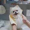 Khăn tắm siêu thấm hút Petstyle cho chó mèo