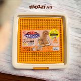  Khay vệ sinh cho chó Iris Nhật Bản nhỏ 33x33cm 