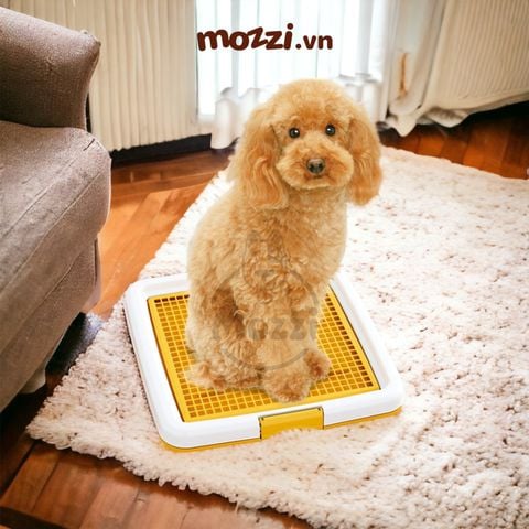  Khay vệ sinh cho chó Iris Nhật Bản nhỏ 33x33cm 