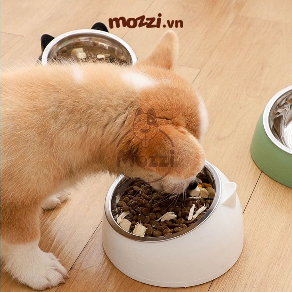 Chén bát ăn cho chó mèo đế nhựa cao có chén inox chống gù