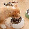 Chén bát ăn cho chó mèo đế nhựa cao có chén inox chống gù