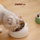  Chén bát ăn cho chó mèo đế nhựa cao có chén inox chống gù 