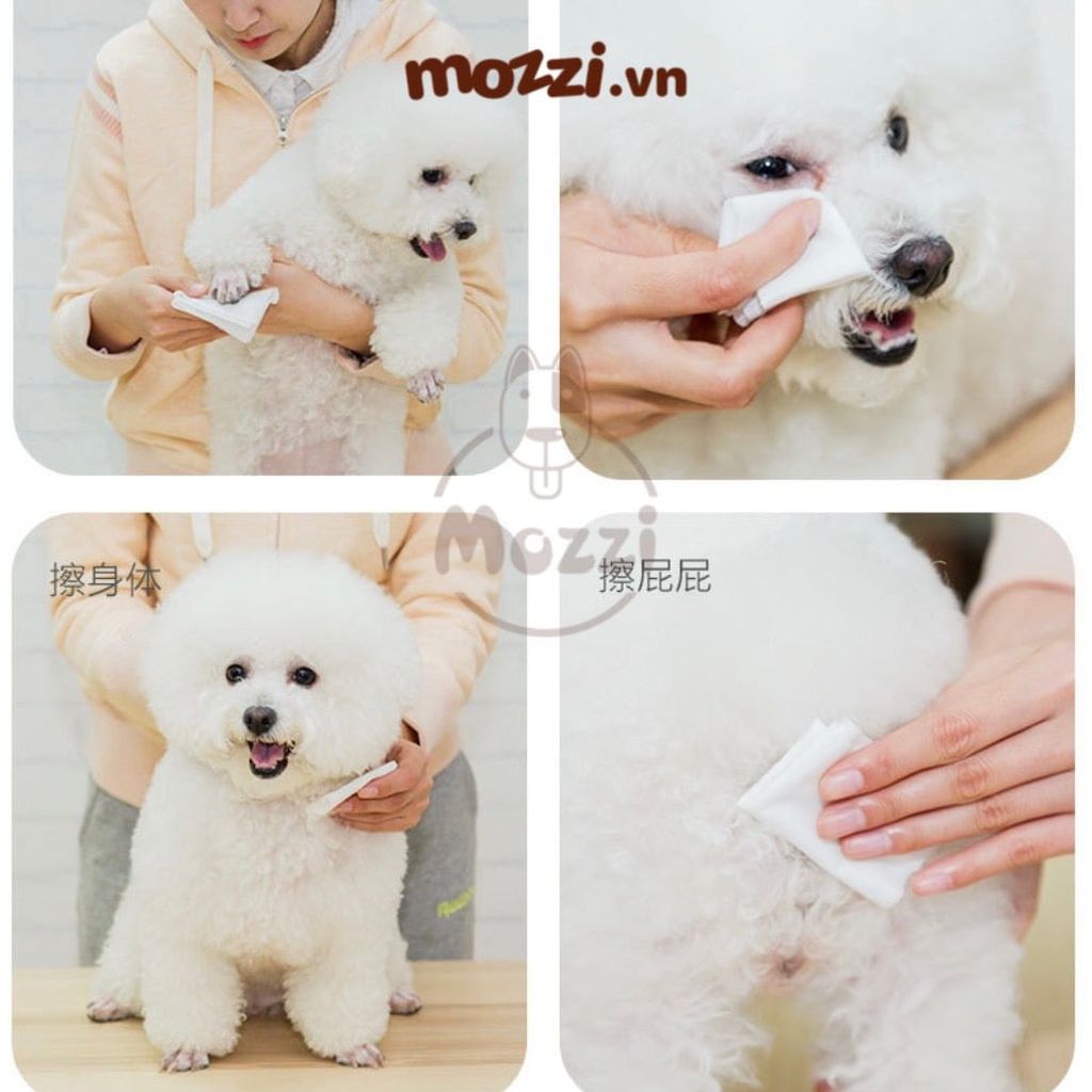 Iris Khăn ướt Nhật Bản 100 tờ cho chó mèo