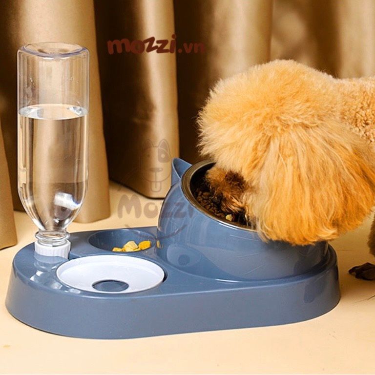 Chén bát ăn cho chó mèo Chống gù kèm nước tự động mặt mèo