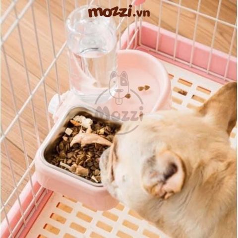  Chén ăn kèm Bình nước tự động gắn chuồng cho chó mèo 