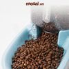 Hipidog Bình ăn uống tự động 3.8L cho chó mèo