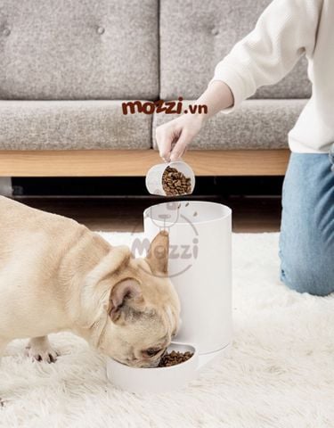  Hoopet Bình ăn uống tự động 2.5L cho chó mèo 