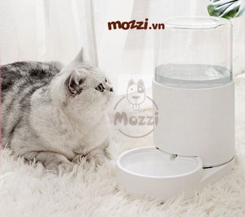 Hoopet Bình ăn uống tự động 2.5L cho chó mèo