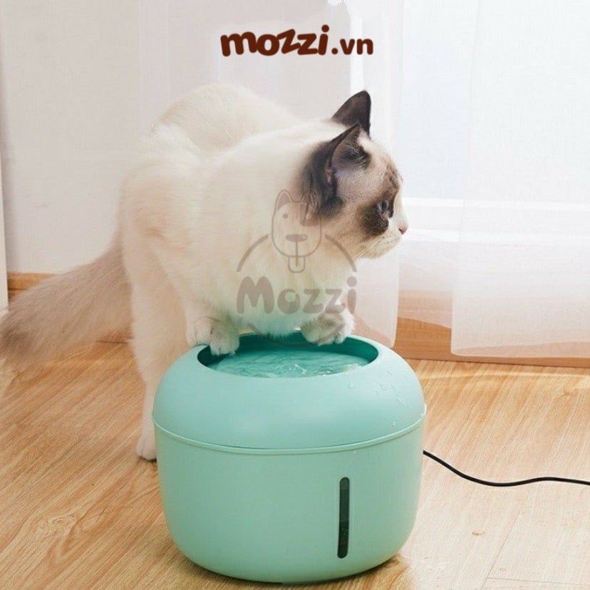 JianPai Máy lọc nước 2.5L cho chó mèo