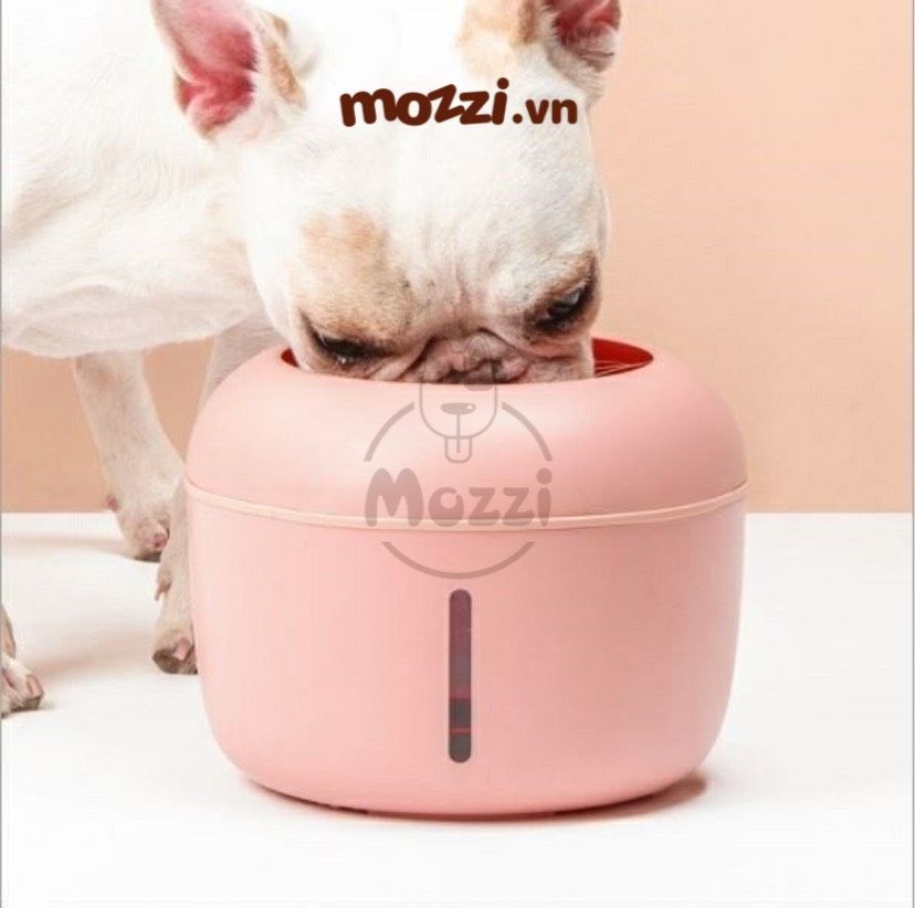 JianPai Máy lọc nước 2.5L cho chó mèo