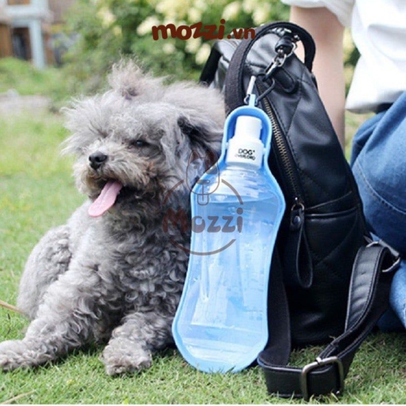 Bình nước du lịch cao cấp DiIl cho chó mèo