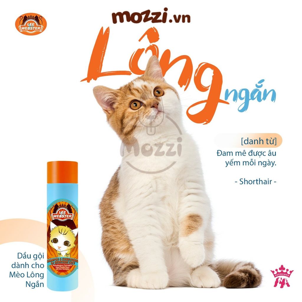 Sữa tắm Lee&Wester Hàn Quốc Tắm xả dành cho mèo Lee Webster Chai 280g