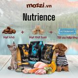  Thức ăn hạt Nutrience Subzero vị gà tây cá biển và rau củ cho chó mèo [0.5kg - 1.8kg - 5kg] 