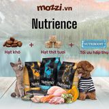  Nutrience Subzero vị gà tây cá biển và rau củ cho chó mèo 