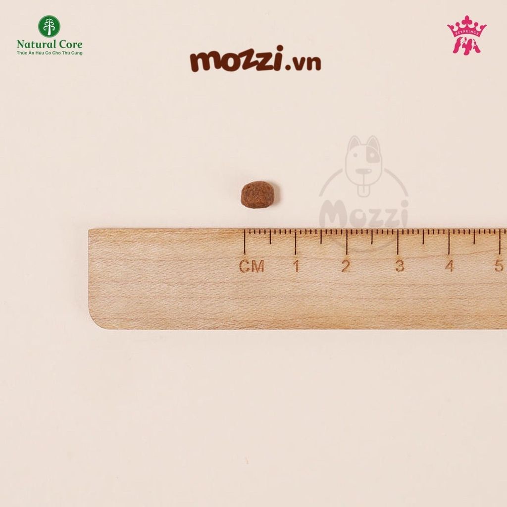 Thức ăn hạt hữu cơ Natural Core đa đạm 95% cho mèo [200g - 1kg]