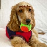  Đồ chơi Banh Bóng Tennis và Xương mềm đặc ruột cho chó 