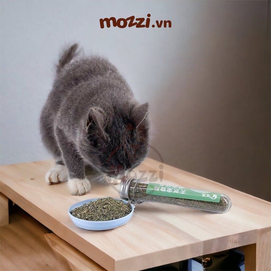 Catnip Cỏ bạc hà khô ống nghiệm 40ml cho mèo