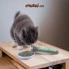 Catnip Cỏ bạc hà khô ống nghiệm 40ml cho mèo