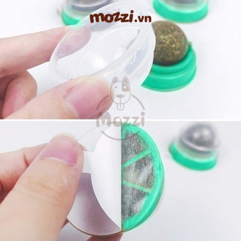 Viên Catnip dán tường cho mèo