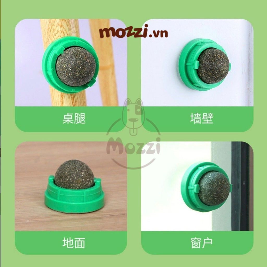 Viên Catnip dán tường cho mèo