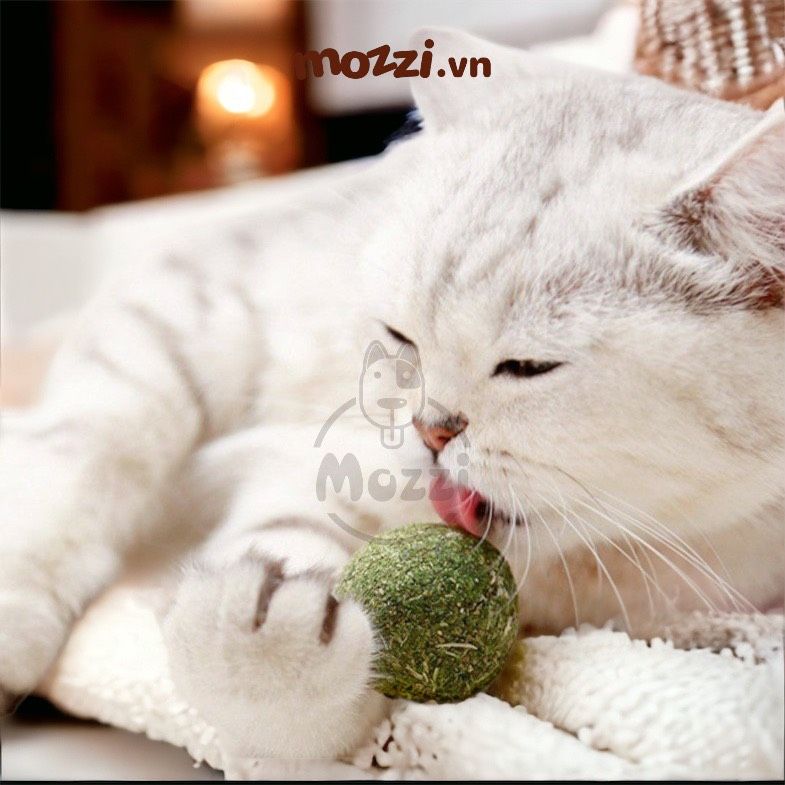 Viên Catnip dán tường cho mèo