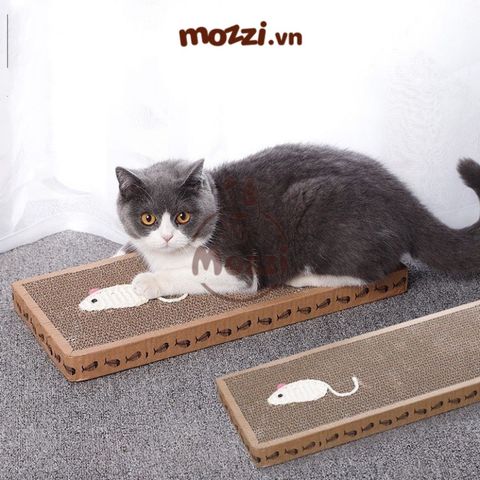  Elite Bàn mèo cào móng hình thú nổi 