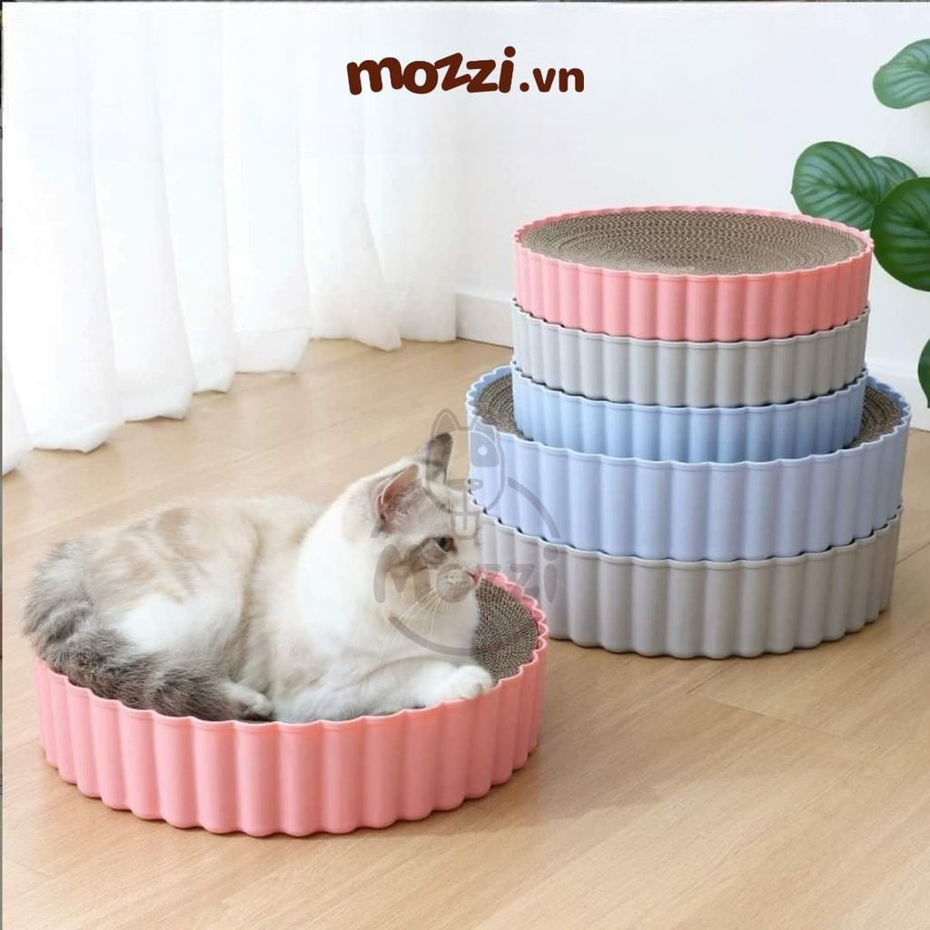 Ổ mèo cào móng hình nắp bia kèm lõi
